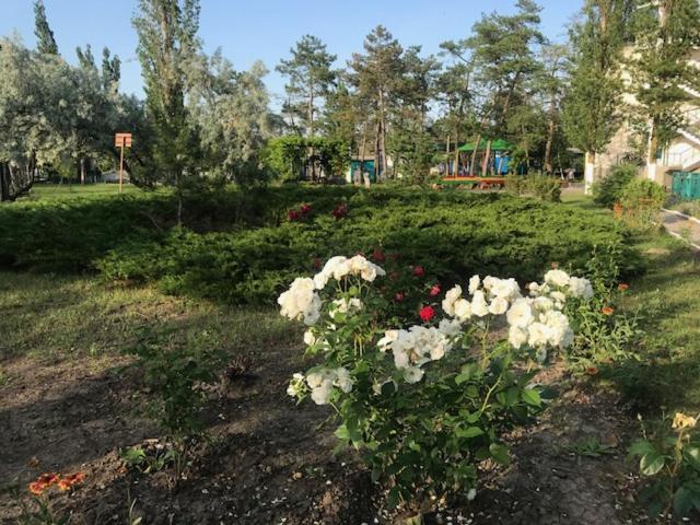 База Отдыха Наука Коблево كوبليفو المظهر الخارجي الصورة